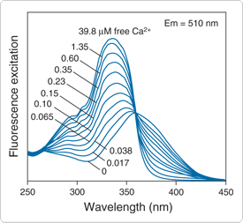 calcium-uv-light.par.33272.image.275.253.1.s000288-spectra-fura-2-gif calcium-uv-light.par.33272.image.275.253.1.s000288-spectra-fura-2-gif