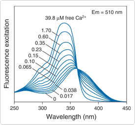 calcium-uv-light.par.28403.image.275.254.1.s001425-spectra-bis-fura2-gif calcium-uv-light.par.28403.image.275.254.1.s001425-spectra-bis-fura2-gif