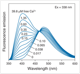calcium-uv-light.par.54520.image.275.255.1.s000298-spectra-indo-1-gif calcium-uv-light.par.54520.image.275.255.1.s000298-spectra-indo-1-gif