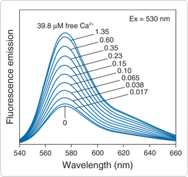 calcium-visible-light.par.86533.image.275.259.1.s001427-calcium-orange-indicator-gif calcium-visible-light.par.86533.image.275.259.1.s001427-calcium-orange-indicator-gif