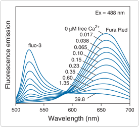 calcium-visible-light.par.96316.image.275.252.1.s000301-fluorescence-emission-spectra-fluo3-gif calcium-visible-light.par.96316.image.275.252.1.s000301-fluorescence-emission-spectra-fluo3-gif