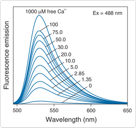 calcium-visible-light.par.25267.image.275.259.1.s001039-calcium-green-indicators-gif calcium-visible-light.par.25267.image.275.259.1.s001039-calcium-green-indicators-gif