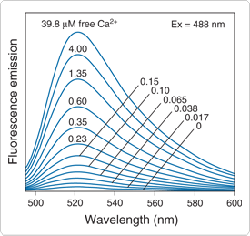 calcium-visible-light.par.41081.image.275.259.1.s001430-fluorescence-indicators-gif calcium-visible-light.par.41081.image.275.259.1.s001430-fluorescence-indicators-gif