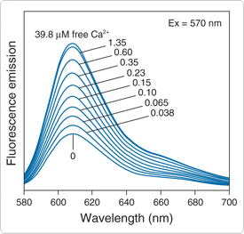 calcium-visible-light.par.28697.image.275.263.1.s001428-calcium-crimson-indicators-gif calcium-visible-light.par.28697.image.275.263.1.s001428-calcium-crimson-indicators-gif