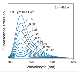 calcium-visible-light.par.11919.image.275.252.1.s001040-fluorescence-emission-fluo3-gif calcium-visible-light.par.11919.image.275.252.1.s001040-fluorescence-emission-fluo3-gif