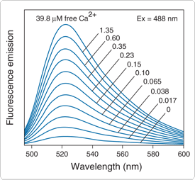 calcium-visible-light.par.68249.image.275.254.1.s000305-bapta-1-indicator-gif calcium-visible-light.par.68249.image.275.254.1.s000305-bapta-1-indicator-gif