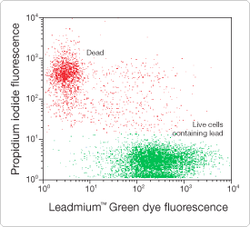 显示两个 Jurkat 细胞群的双色散点图 显示两个 Jurkat 细胞群的双色散点图
