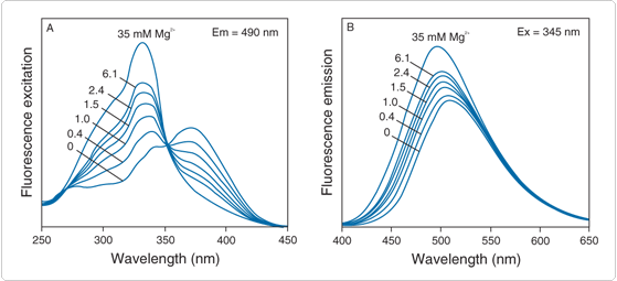 mg-indicators.par.43035.image.559.255.1.s000291-fluorescence-spectra-mag-fura-2-gif mg-indicators.par.43035.image.559.255.1.s000291-fluorescence-spectra-mag-fura-2-gif