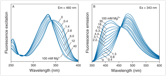 mg-indicators.par.56654.image.559.255.1.s000292-fluorescence-spectra-mag-indo-gif mg-indicators.par.56654.image.559.255.1.s000292-fluorescence-spectra-mag-indo-gif