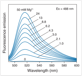 mg-indicators.par.81077.image.275.256.1.s000703-fluorescence-mag-fluo-gif mg-indicators.par.81077.image.275.256.1.s000703-fluorescence-mag-fluo-gif