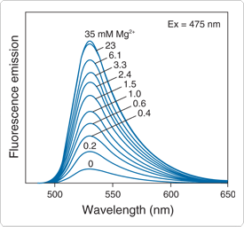 mg-indicators.par.71794.image.275.256.1.s000293-magnesium-green-gif mg-indicators.par.71794.image.275.256.1.s000293-magnesium-green-gif