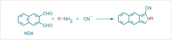 low-molecular-weight-amines.par.7001.image.560.133.1.s001435-fluorogenic-amine-naphthalene-gif low-molecular-weight-amines.par.7001.image.560.133.1.s001435-fluorogenic-amine-naphthalene-gif