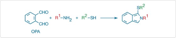 low-molecular-weight-amines.par.59620.image.560.122.1.s001434-fluorogenic-amine-derivatization-gif low-molecular-weight-amines.par.59620.image.560.122.1.s001434-fluorogenic-amine-derivatization-gif
