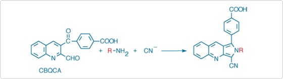 low-molecular-weight-amines.par.38933.image.560.157.1.s001436-fluorogenic-amine-reaction-cbqca-gif low-molecular-weight-amines.par.38933.image.560.157.1.s001436-fluorogenic-amine-reaction-cbqca-gif