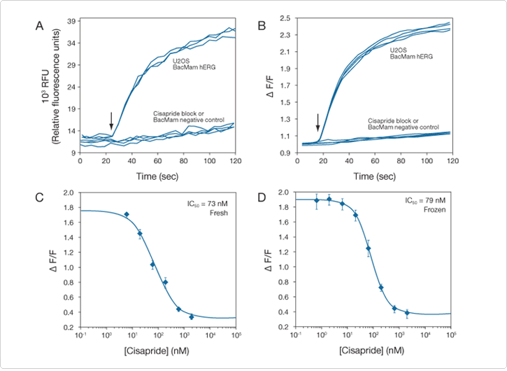 probes-ion-channels-carriers.par.88290.image.725.530.1.-s004781-s004782-s004783-s004784-fluxor-gif probes-ion-channels-carriers.par.88290.image.725.530.1.-s004781-s004782-s004783-s004784-fluxor-gif