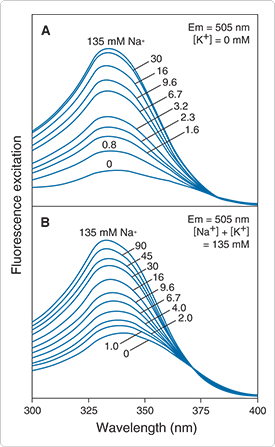 fluorescent-na.par.26242.image.275.447.1.s000324-sbfi-gif fluorescent-na.par.26242.image.275.447.1.s000324-sbfi-gif