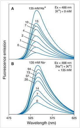 fluorescent-na.par.46502.image.275.440.1.s000328-sodium-green-indicator-gif fluorescent-na.par.46502.image.275.440.1.s000328-sodium-green-indicator-gif