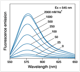 fluorescent-na.par.44693.image.275.250.1.s001485-fluorescence-corona-red-indicator-gif fluorescent-na.par.44693.image.275.250.1.s001485-fluorescence-corona-red-indicator-gif