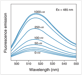 fluorescent-na.par.62754.image.275.251.1.s002236-fluorescence-corona-green-gif fluorescent-na.par.62754.image.275.251.1.s002236-fluorescence-corona-green-gif