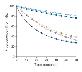 绿色荧光抗体偶联物的光稳定性比较 绿色荧光抗体偶联物的光稳定性比较