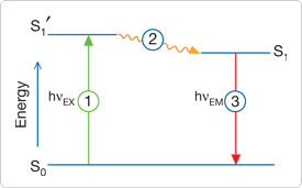 展示了通过光吸收和随后的荧光发射创建激发电子单个细胞状态所涉及的过程的 Jablonski 图 展示了通过光吸收和随后的荧光发射创建激发电子单个细胞状态所涉及的过程的 Jablonski 图