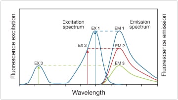 在三种不同波长(EX 1, EX 2, EX 3)处激发荧光基团 在三种不同波长(EX 1, EX 2, EX 3)处激发荧光基团