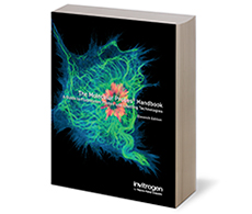 sho-handbook-11 sho-handbook-11