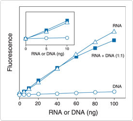 nucleic-acid-detection-solution.par.53249.image.275.249.1.s002341-quant-it-rna-assay-gif nucleic-acid-detection-solution.par.53249.image.275.249.1.s002341-quant-it-rna-assay-gif