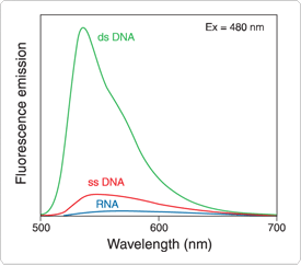 nucleic-acid-detection-solution.par.5685.image.275.242.1.s001711-picogreen-reagent-gif nucleic-acid-detection-solution.par.5685.image.275.242.1.s001711-picogreen-reagent-gif