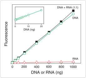 nucleic-acid-detection-solution.par.4426.image.275.250.1.s002331-quant-it-dna-assay-gif nucleic-acid-detection-solution.par.4426.image.275.250.1.s002331-quant-it-dna-assay-gif