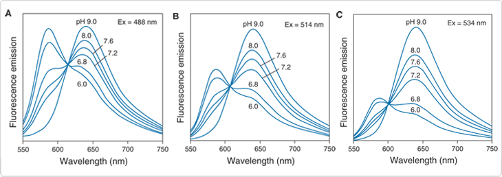 probes-near-neutral-ph.par.90094.image.730.258.1.s000320-emission-spectra-carboxy-gif probes-near-neutral-ph.par.90094.image.730.258.1.s000320-emission-spectra-carboxy-gif