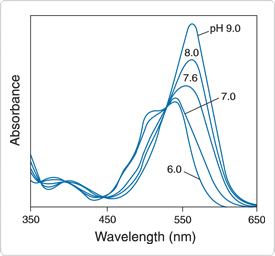 probes-near-neutral-ph.par.99061.image.275.256.1.s000319-ph-absorption-spectra-gif probes-near-neutral-ph.par.99061.image.275.256.1.s000319-ph-absorption-spectra-gif