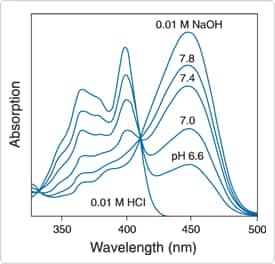 probes-near-neutral-ph.par.9060.image.275.264.1.s000323-ph-absorption-spectra-gif probes-near-neutral-ph.par.9060.image.275.264.1.s000323-ph-absorption-spectra-gif