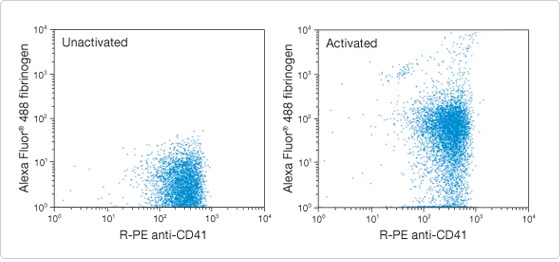 probes-following-receptor-binding.par.36211.image.560.262.1.s001753-fluorescently-labeled-fibrinogen-gif probes-following-receptor-binding.par.36211.image.560.262.1.s001753-fluorescently-labeled-fibrinogen-gif