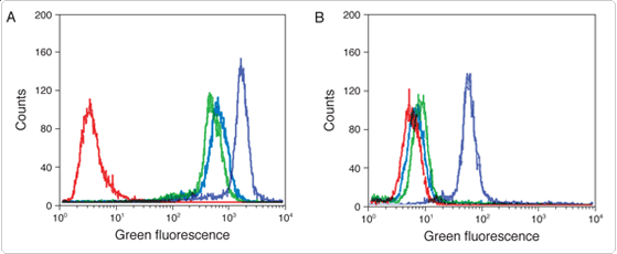 probes-following-receptor-binding.par.73408.image.559.230.1.s001668-detection-epidermal-growth-factor-gif probes-following-receptor-binding.par.73408.image.559.230.1.s001668-detection-epidermal-growth-factor-gif