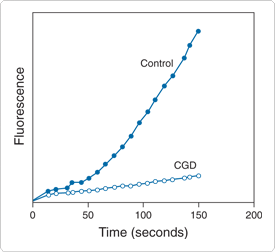 probes-following-receptor-binding.par.61198.image.275.252.1.s000261-oxidative-bursts-neutrophils-gif probes-following-receptor-binding.par.61198.image.275.252.1.s000261-oxidative-bursts-neutrophils-gif