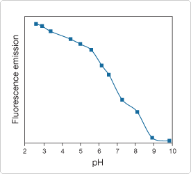 probes-following-receptor-binding.par.60600.image.275.250.1.s007825-phrodo-gif probes-following-receptor-binding.par.60600.image.275.250.1.s007825-phrodo-gif