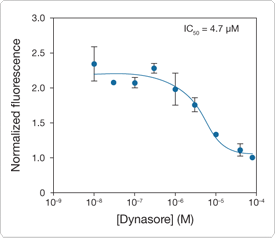 probes-following-receptor-binding.par.69068.image.275.238.1.s006889-phrodo-gif probes-following-receptor-binding.par.69068.image.275.238.1.s006889-phrodo-gif