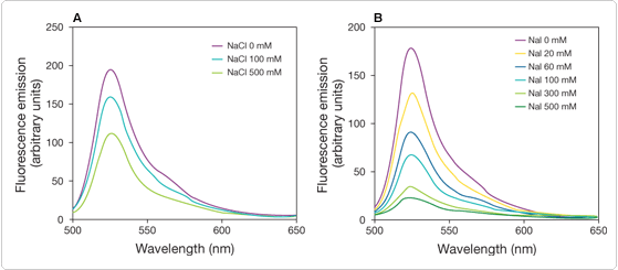 probes-ion-channels-carriers.par.7875.image.559.245.1.s006127-s006129-quench-premo-halide-sensor-gif probes-ion-channels-carriers.par.7875.image.559.245.1.s006127-s006129-quench-premo-halide-sensor-gif