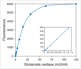 probes-neurotransmitter-receptors.par.51338.image.275.233.1.s001034-amplex-red-glutamate-assay-gif probes-neurotransmitter-receptors.par.51338.image.275.233.1.s001034-amplex-red-glutamate-assay-gif