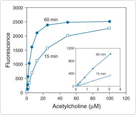 probes-neurotransmitter-receptors.par.91766.image.275.233.1.s000930-acetylcholine-gif probes-neurotransmitter-receptors.par.91766.image.275.233.1.s000930-acetylcholine-gif