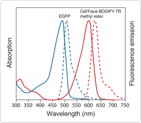 other-nonpolar-amphiphilic-probes.par.1162.image.275.240.1.s002420-normalized-absorption-gif other-nonpolar-amphiphilic-probes.par.1162.image.275.240.1.s002420-normalized-absorption-gif