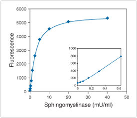 sphingolipids-steroids-lipopolysaccharides.par.8307.image.275.237.1.s001258-excimer-formation-gif sphingolipids-steroids-lipopolysaccharides.par.8307.image.275.237.1.s001258-excimer-formation-gif