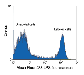sphingolipids-steroids-lipopolysaccharides.par.68068.image.275.245.1.s001670-flow-cytometry-analysis-gif sphingolipids-steroids-lipopolysaccharides.par.68068.image.275.245.1.s001670-flow-cytometry-analysis-gif
