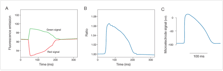 fast-response-probes.par.85408.image.725.234.1.s001666-fast-potentiometric-probes-gif fast-response-probes.par.85408.image.725.234.1.s001666-fast-potentiometric-probes-gif