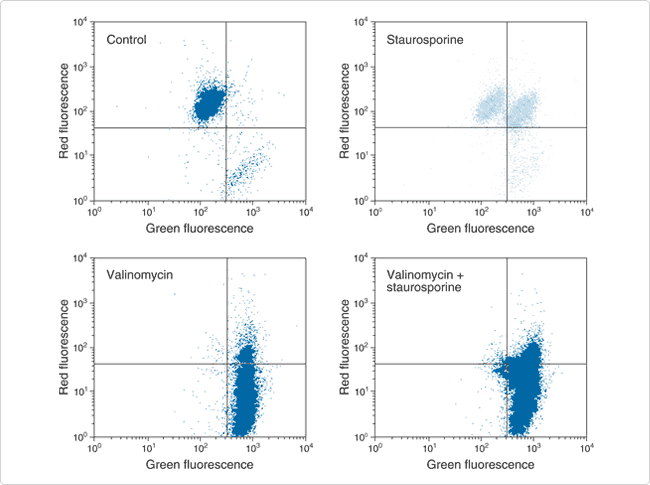 slow-response-probes.par.82010.image.650.485.1.s000932-mitochondrial-gif slow-response-probes.par.82010.image.650.485.1.s000932-mitochondrial-gif