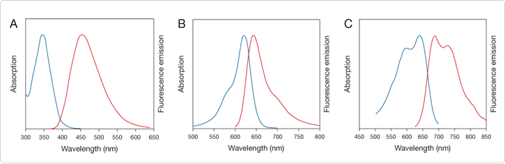 probes-for-nucleus.par.53452.image.725.236.1.s006832-s006833-s006849-hcs-nuclearmask-deep-red-gif probes-for-nucleus.par.53452.image.725.236.1.s006832-s006833-s006849-hcs-nuclearmask-deep-red-gif