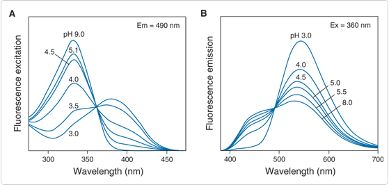 pH 值依赖性光谱响应 pH 值依赖性光谱响应
