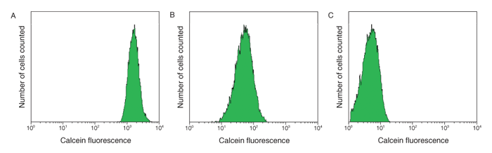 probes-微软骨症.par.45267图像.700.218.1,002371-微软骨转移预处理-kit-gif probes-微软骨症.par.45267图像.700.218.1,002371-微软骨转移预处理-kit-gif