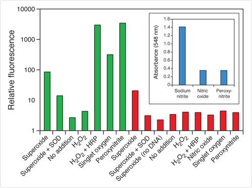 reactive-oxygen-species.par.32728.image.500.373.1.s002476-mitosox-red-mitochondrial-gif reactive-oxygen-species.par.32728.image.500.373.1.s002476-mitosox-red-mitochondrial-gif